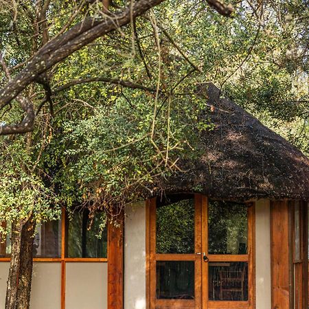 Ndzhaka Tented Camp Manyeleti Game Reserve Bagian luar foto