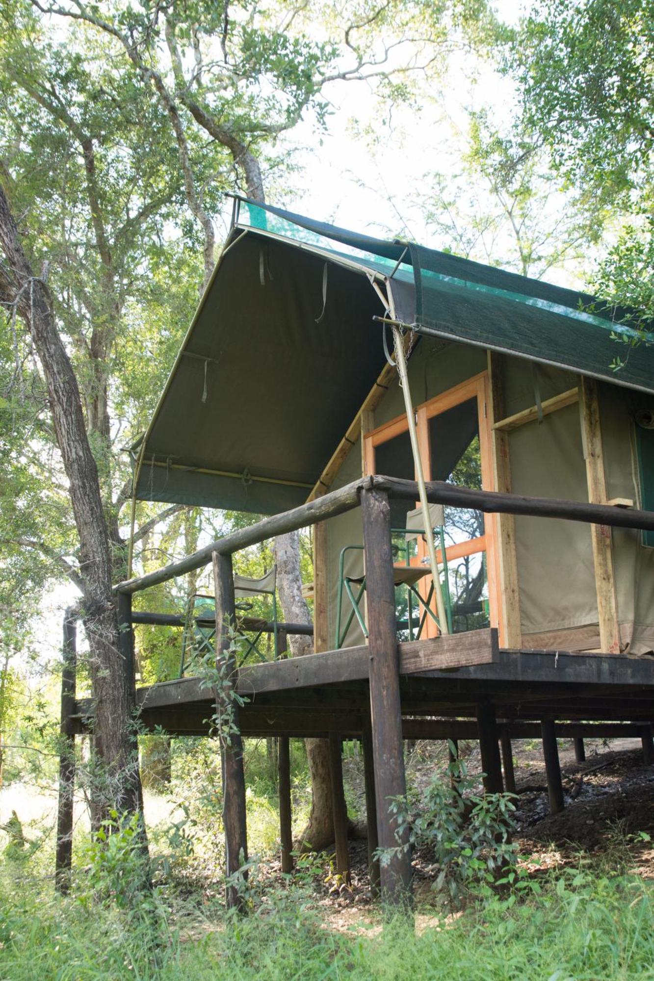 Ndzhaka Tented Camp Manyeleti Game Reserve Ruang foto
