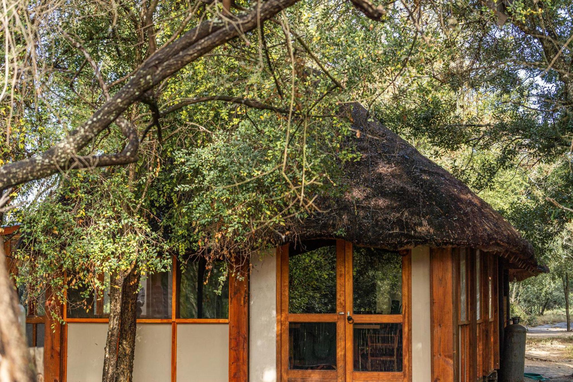 Ndzhaka Tented Camp Manyeleti Game Reserve Bagian luar foto