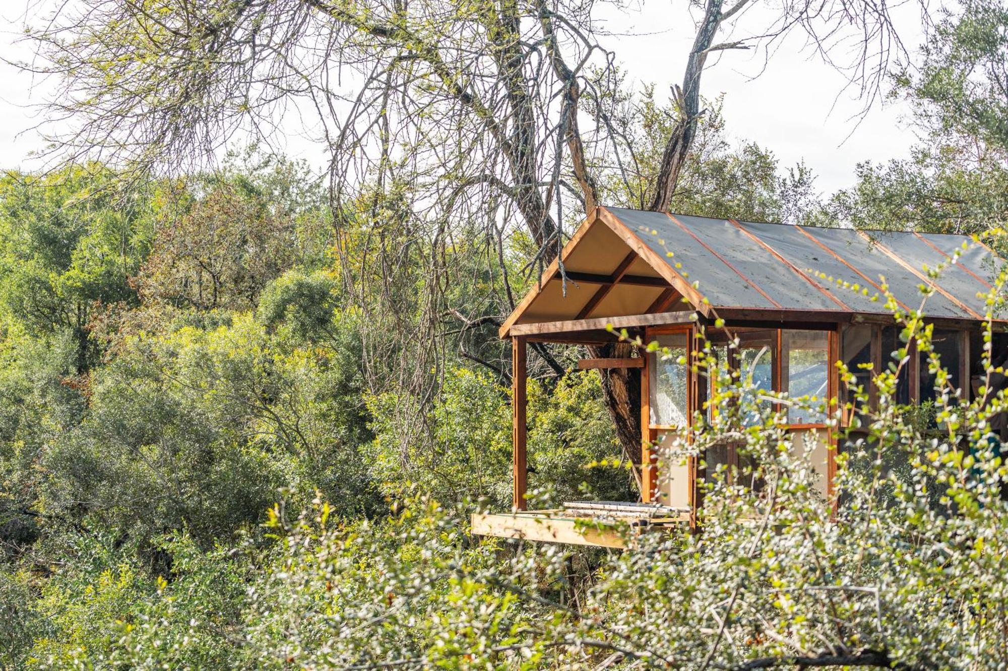 Ndzhaka Tented Camp Manyeleti Game Reserve Bagian luar foto