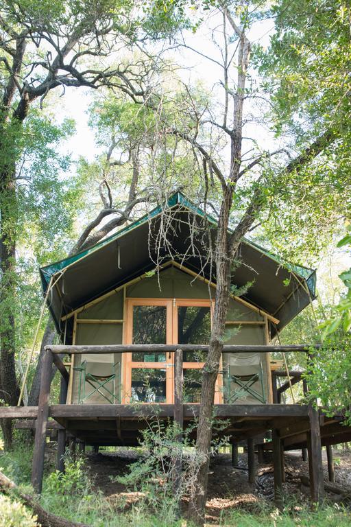 Ndzhaka Tented Camp Manyeleti Game Reserve Bagian luar foto