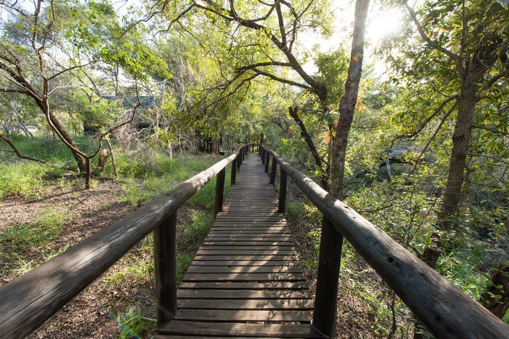 Ndzhaka Tented Camp Manyeleti Game Reserve Bagian luar foto